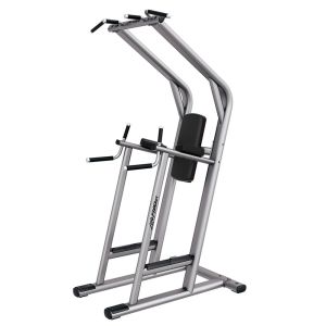 Life Fitness Chin/Dip/Leg Raise