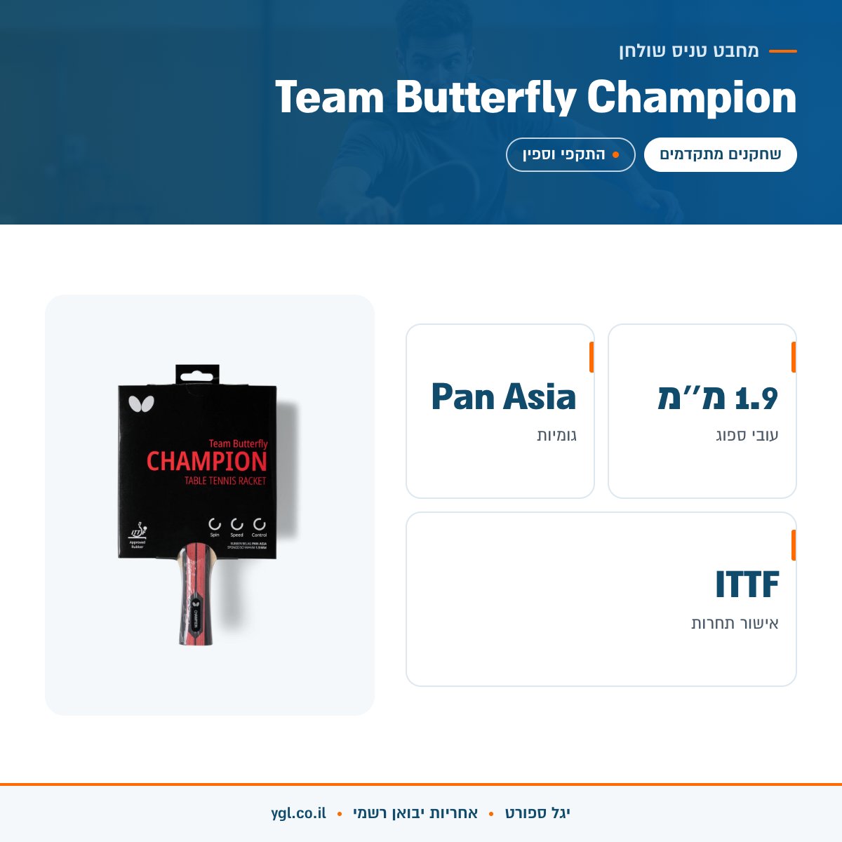 אינפוגרפיקה מחבט טניס שולחן Team Butterfly Champion - נתונים עיקריים